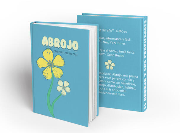 Mockup - Libro